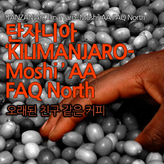 탄자니아 킬리만자로 500g