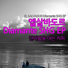 엘살바도르 팬시 500g