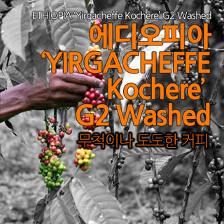 에디오피아 예가체프 200g