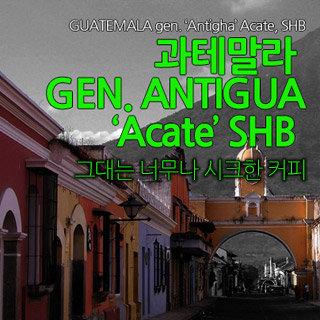 과테말라 안티구아 500g