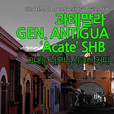 과테말라 안티구아 500g