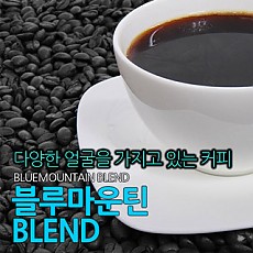 블루마운틴 블렌드 500g