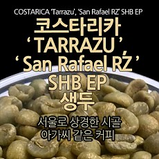 코스타리카 따라쥬 생두 1000g