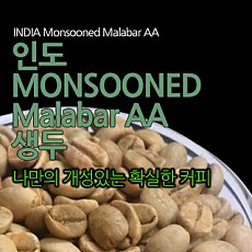인디아 몬순드말라바 생두 1000g
