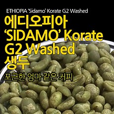 에디오피아 시다모No.2 생두 1000g
